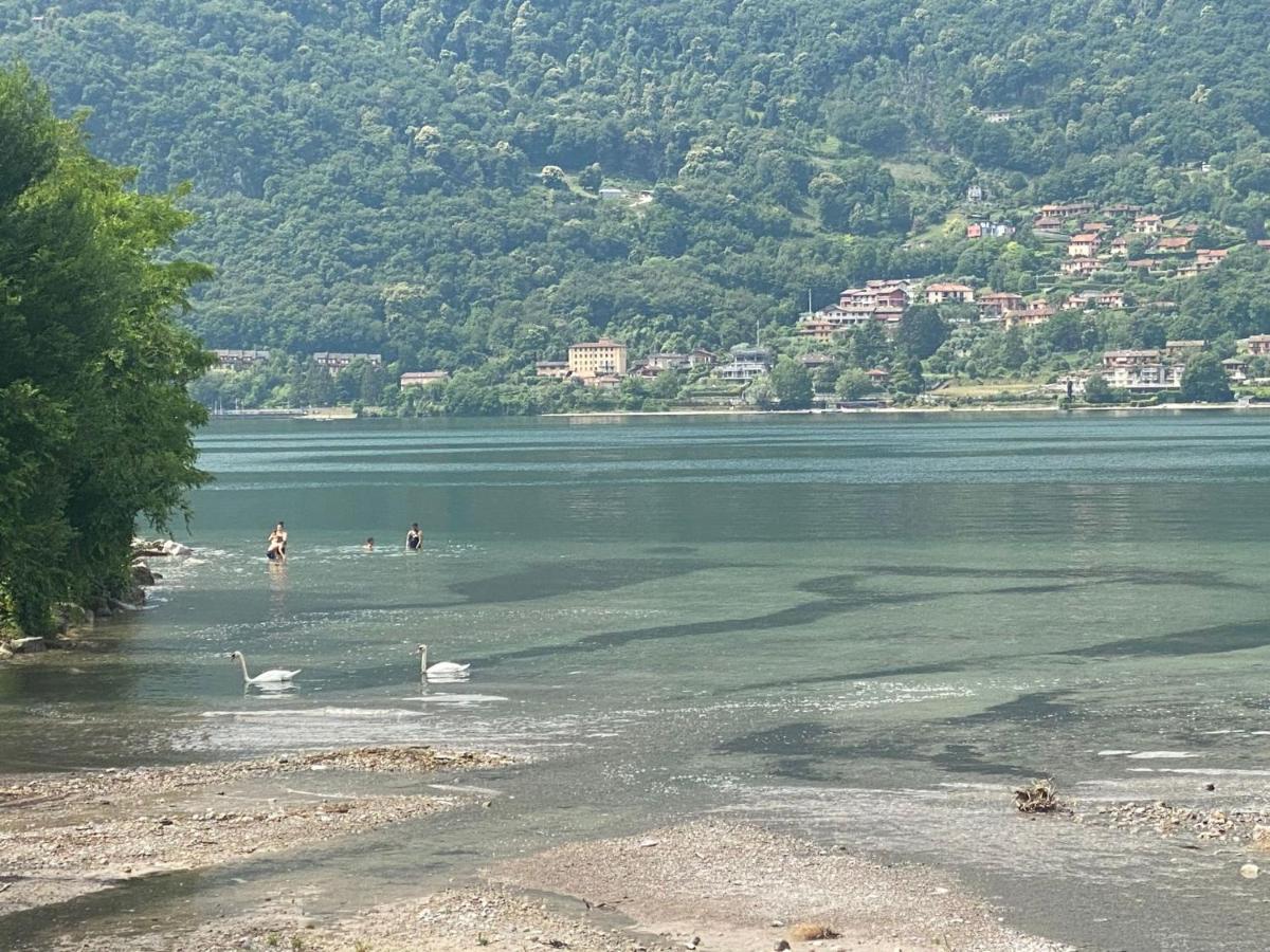 Villa The Swan - Composed By 2 Apartments Mandello del Lario Dış mekan fotoğraf